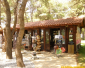 solaris_30