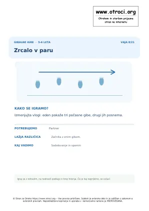 Predogled vaje: Zrcalo v paru