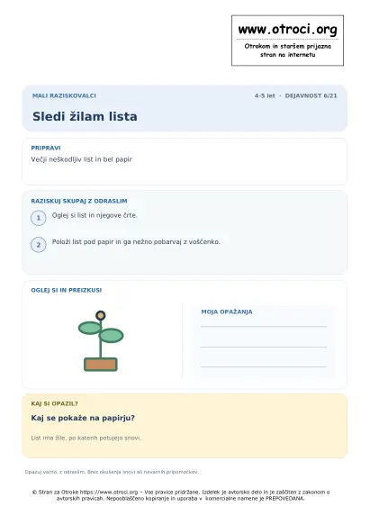 Sledi žilam lista