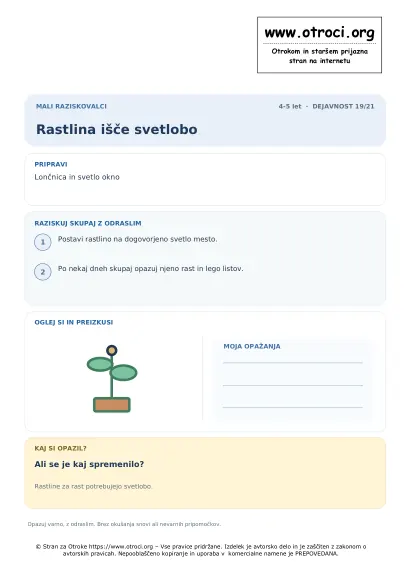 Rastlina išče svetlobo