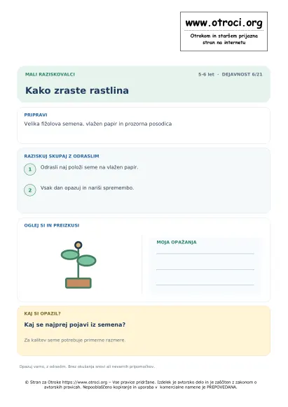 Kako zraste rastlina