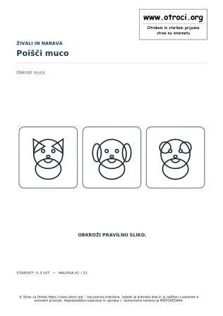 Poišči muco
