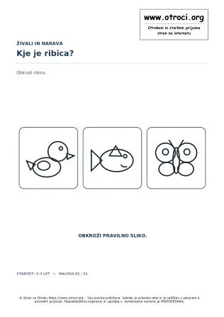 Kje je ribica?