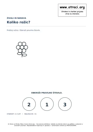 Koliko rožic?