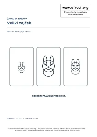 Veliki zajček