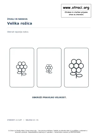Velika rožica