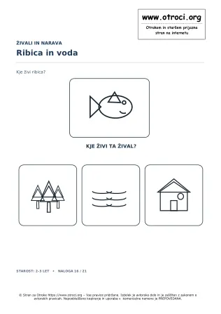 Ribica in voda