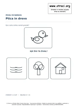 Ptica in drevo