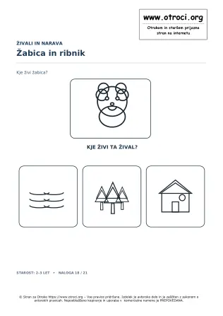 Žabica in ribnik