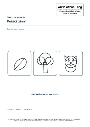 Poišči žival