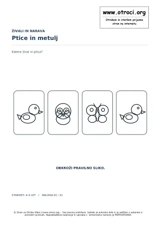 Ptice in metulj