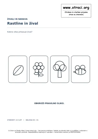 Rastline in žival