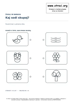 Kaj sodi skupaj?
