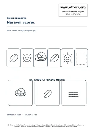 Naravni vzorec