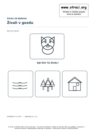 Živali v gozdu
