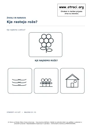 Kje rastejo rože?