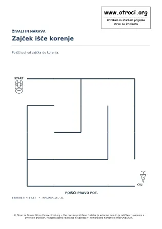 Zajček išče korenje