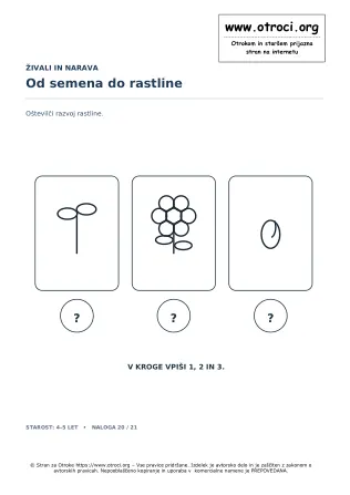 Od semena do rastline