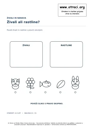 Živali ali rastline?