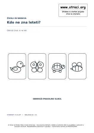 Kdo ne zna leteti?