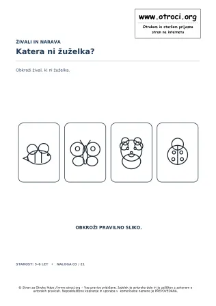 Katera ni žuželka?