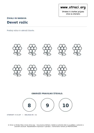 Devet rožic