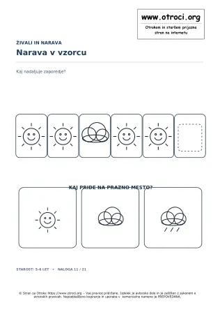 Narava v vzorcu