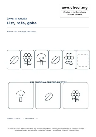 List, roža, goba