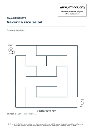 Veverica išče želod