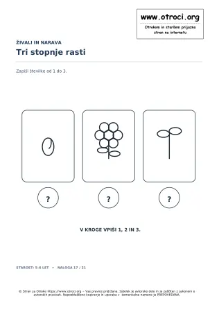 Tri stopnje rasti