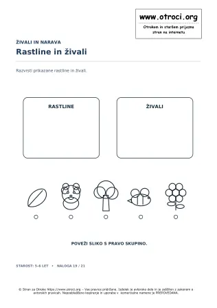 Rastline in živali