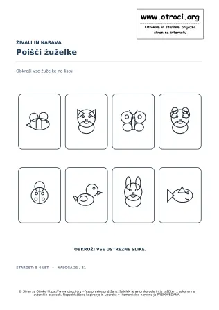 Poišči žuželke