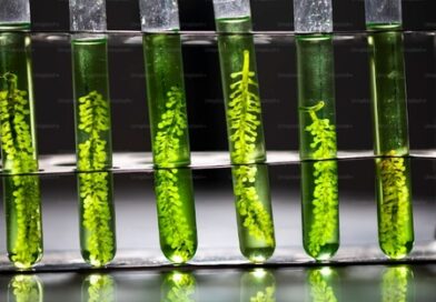 Učni listi – Naravoslovje za 6. R.